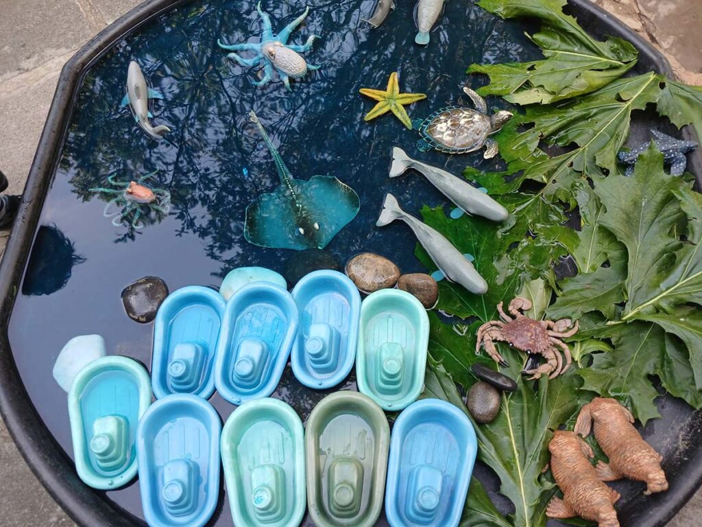 woodlands nursery ocean adventures await